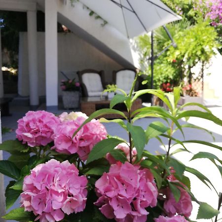 Apartments Poretti For 2,In Center Parking Free In The Yard,6 Min Beach Walk โรวีน ภายนอก รูปภาพ