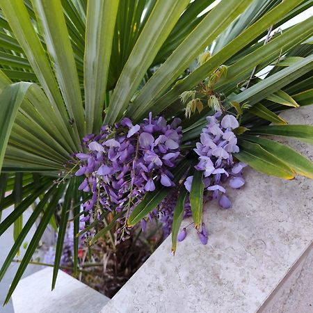 Apartments Poretti For 2,In Center Parking Free In The Yard,6 Min Beach Walk โรวีน ภายนอก รูปภาพ