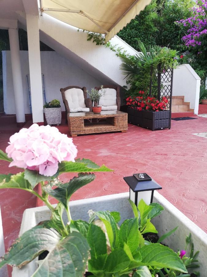 Apartments Poretti For 2,In Center Parking Free In The Yard,6 Min Beach Walk โรวีน ภายนอก รูปภาพ