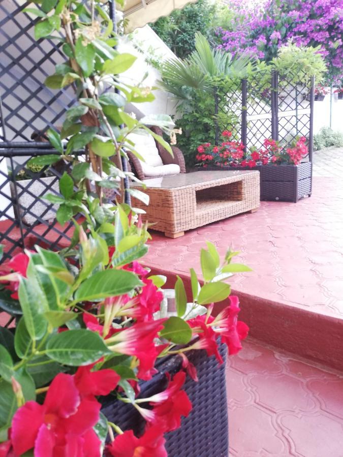 Apartments Poretti For 2,In Center Parking Free In The Yard,6 Min Beach Walk โรวีน ภายนอก รูปภาพ