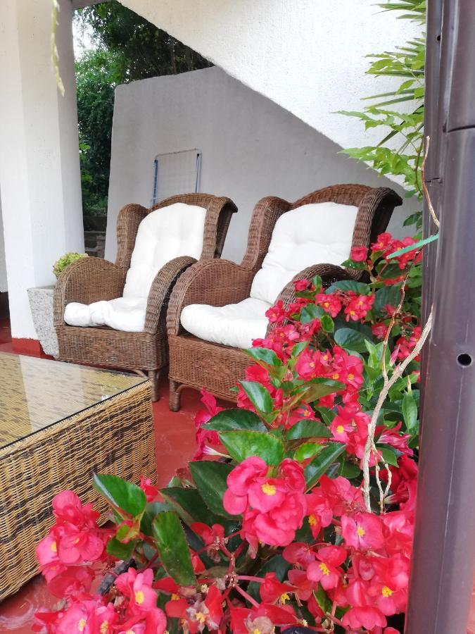 Apartments Poretti For 2,In Center Parking Free In The Yard,6 Min Beach Walk โรวีน ภายนอก รูปภาพ