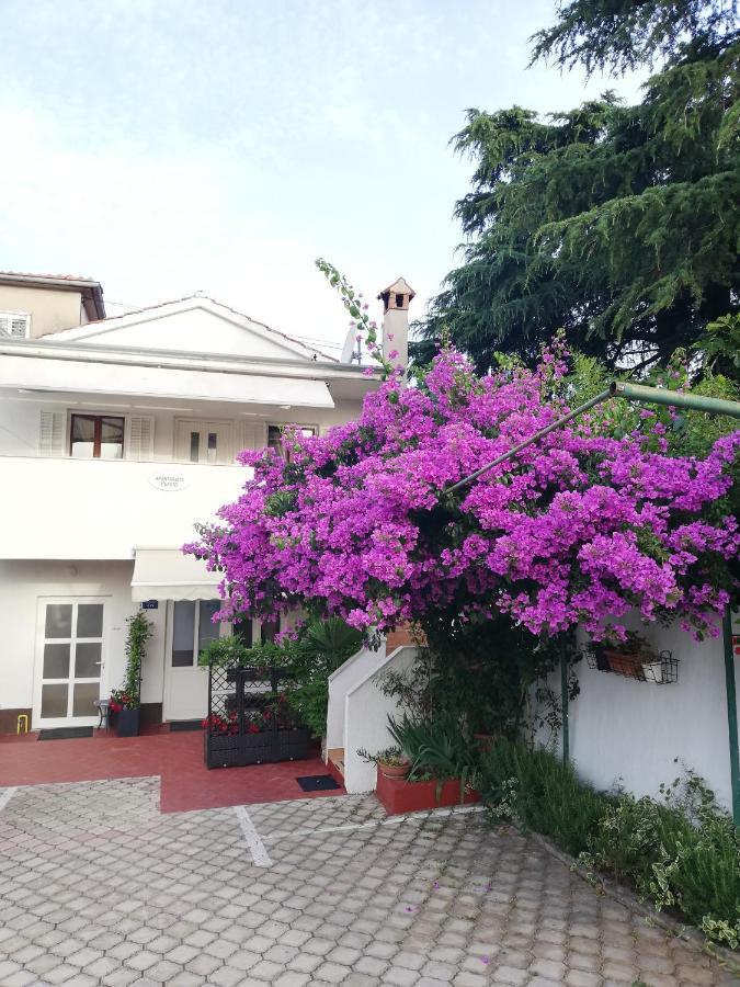 Apartments Poretti For 2,In Center Parking Free In The Yard,6 Min Beach Walk โรวีน ภายนอก รูปภาพ
