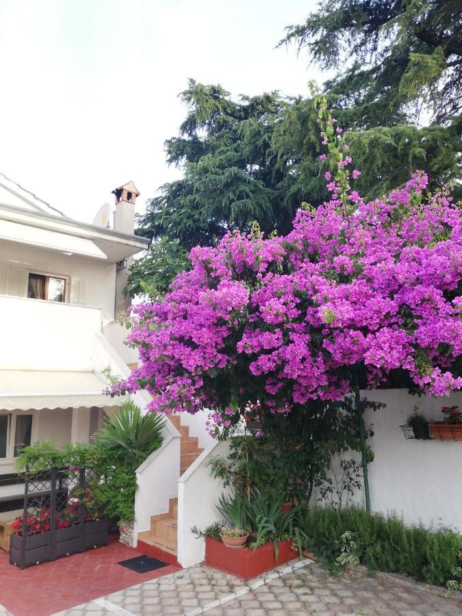 Apartments Poretti For 2,In Center Parking Free In The Yard,6 Min Beach Walk โรวีน ภายนอก รูปภาพ