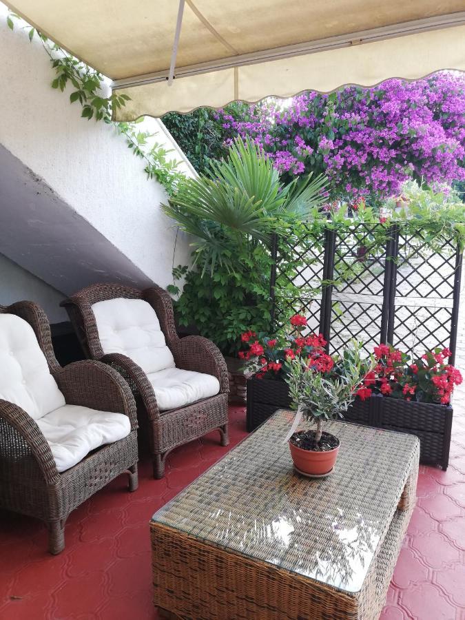 Apartments Poretti For 2,In Center Parking Free In The Yard,6 Min Beach Walk โรวีน ภายนอก รูปภาพ