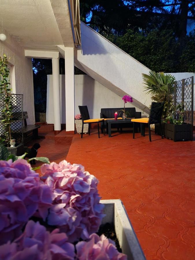 Apartments Poretti For 2,In Center Parking Free In The Yard,6 Min Beach Walk โรวีน ภายนอก รูปภาพ