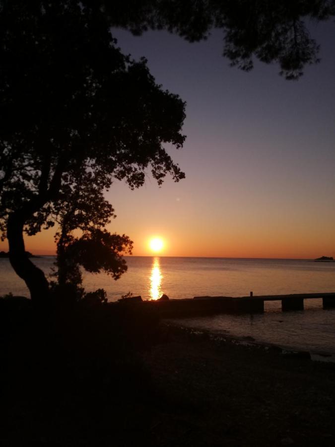 Apartments Poretti For 2,In Center Parking Free In The Yard,6 Min Beach Walk โรวีน ภายนอก รูปภาพ