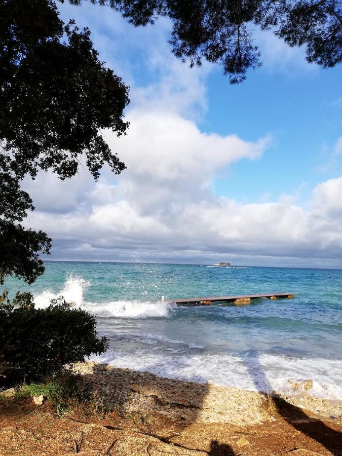 Apartments Poretti For 2,In Center Parking Free In The Yard,6 Min Beach Walk โรวีน ภายนอก รูปภาพ