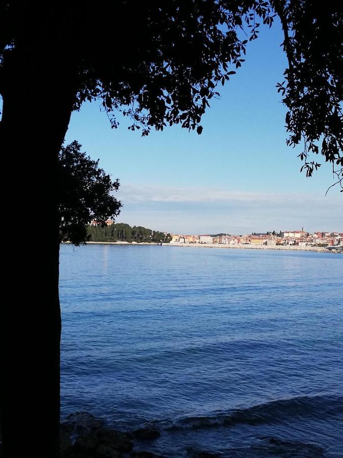 Apartments Poretti For 2,In Center Parking Free In The Yard,6 Min Beach Walk โรวีน ภายนอก รูปภาพ