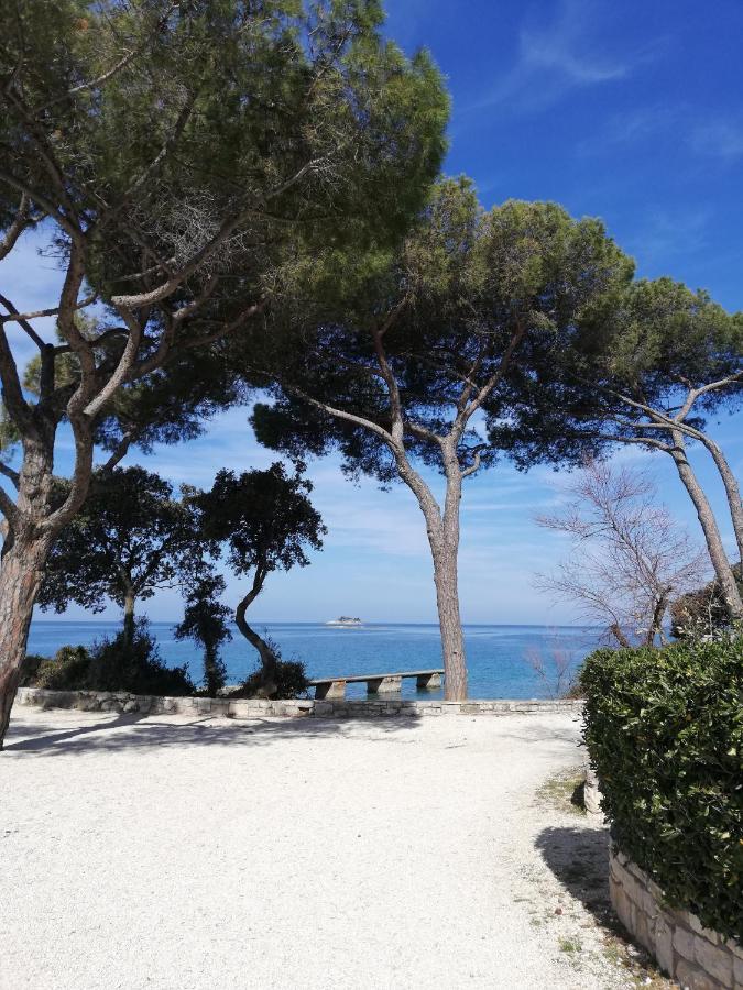 Apartments Poretti For 2,In Center Parking Free In The Yard,6 Min Beach Walk โรวีน ภายนอก รูปภาพ