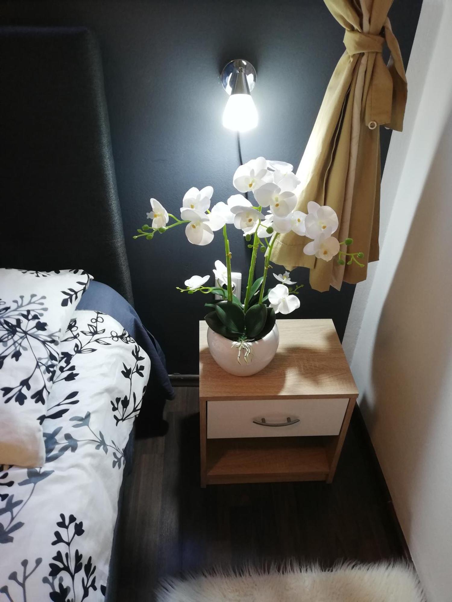 Apartments Poretti For 2,In Center Parking Free In The Yard,6 Min Beach Walk โรวีน ภายนอก รูปภาพ