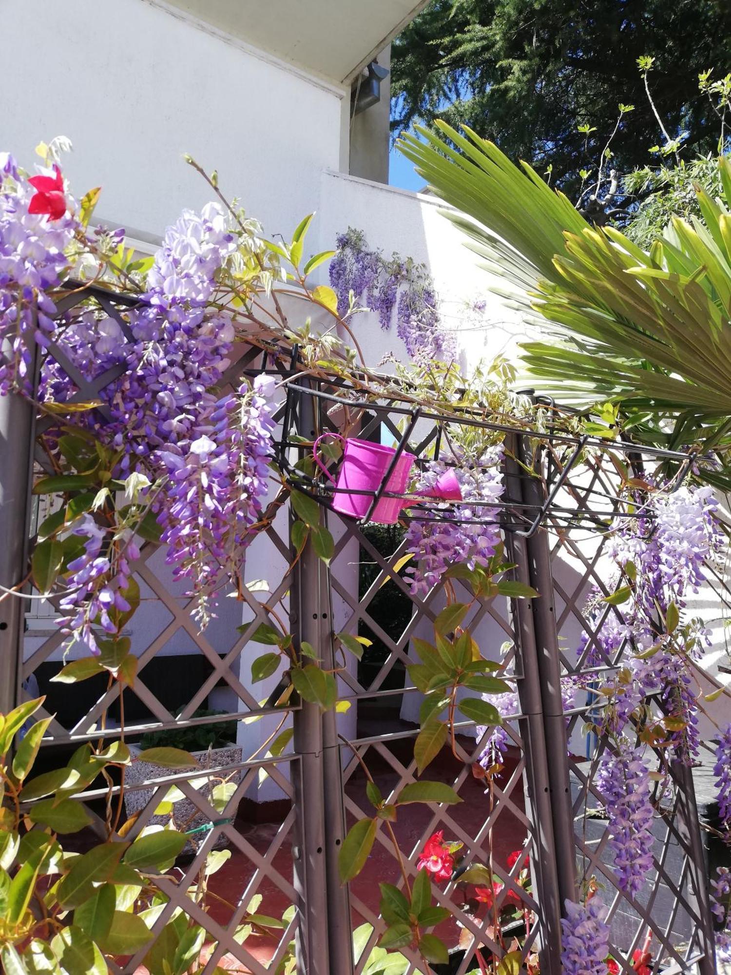 Apartments Poretti For 2,In Center Parking Free In The Yard,6 Min Beach Walk โรวีน ภายนอก รูปภาพ