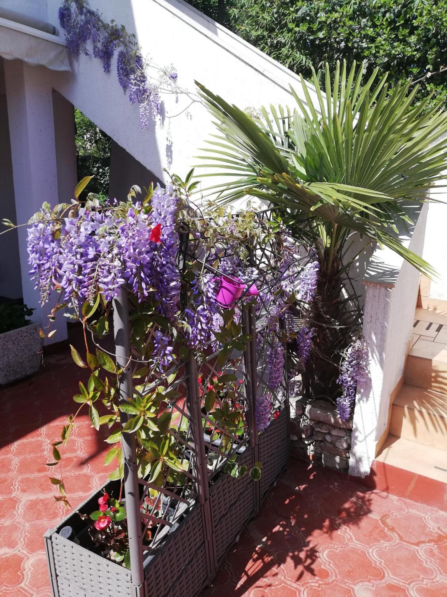 Apartments Poretti For 2,In Center Parking Free In The Yard,6 Min Beach Walk โรวีน ภายนอก รูปภาพ
