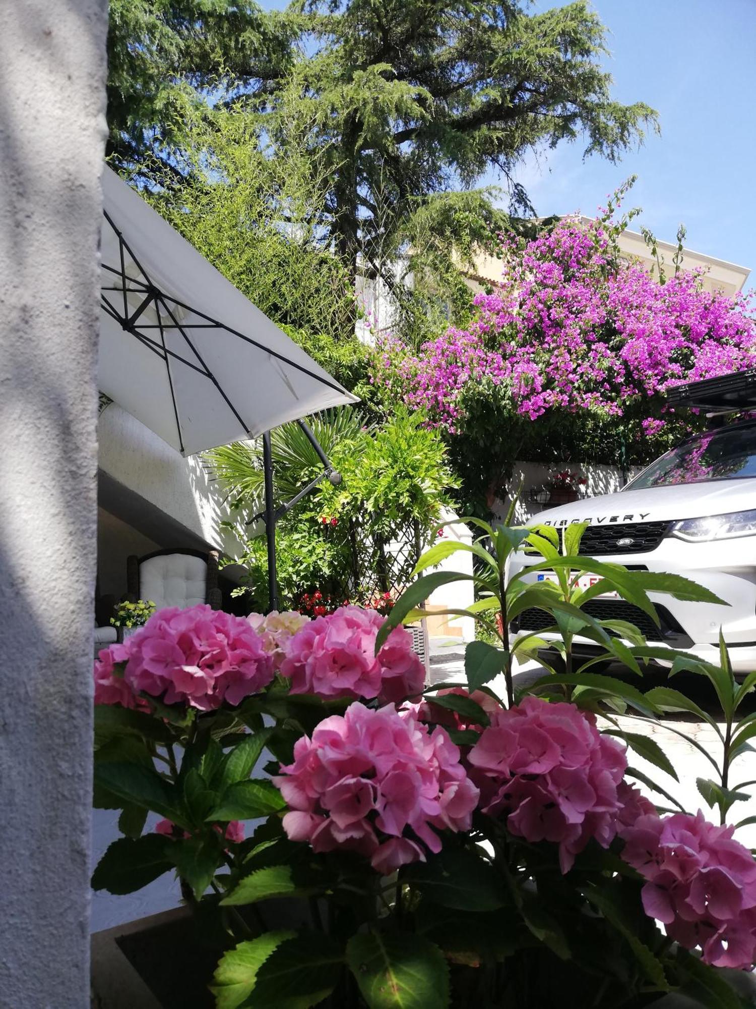 Apartments Poretti For 2,In Center Parking Free In The Yard,6 Min Beach Walk โรวีน ภายนอก รูปภาพ