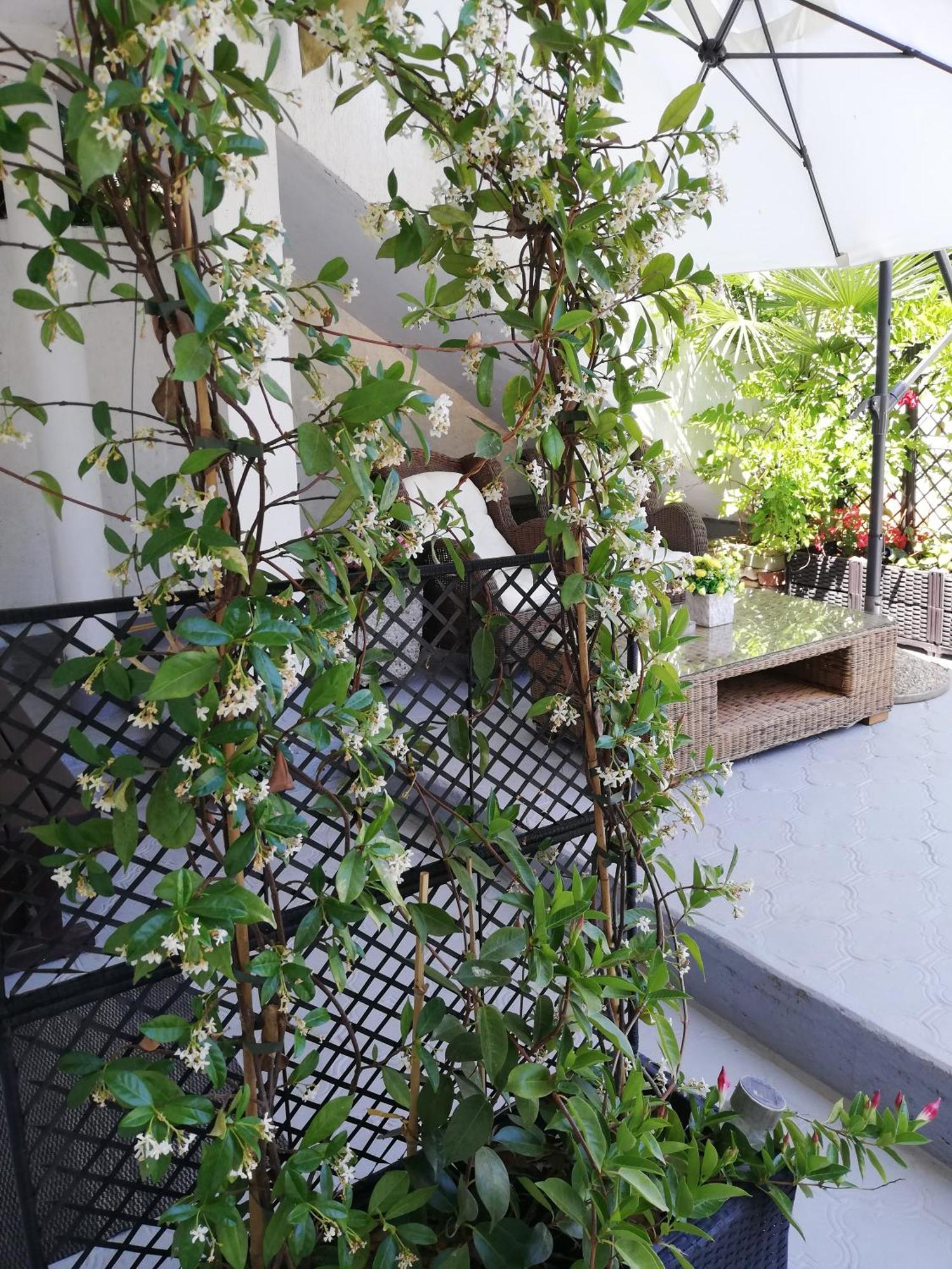 Apartments Poretti For 2,In Center Parking Free In The Yard,6 Min Beach Walk โรวีน ห้อง รูปภาพ