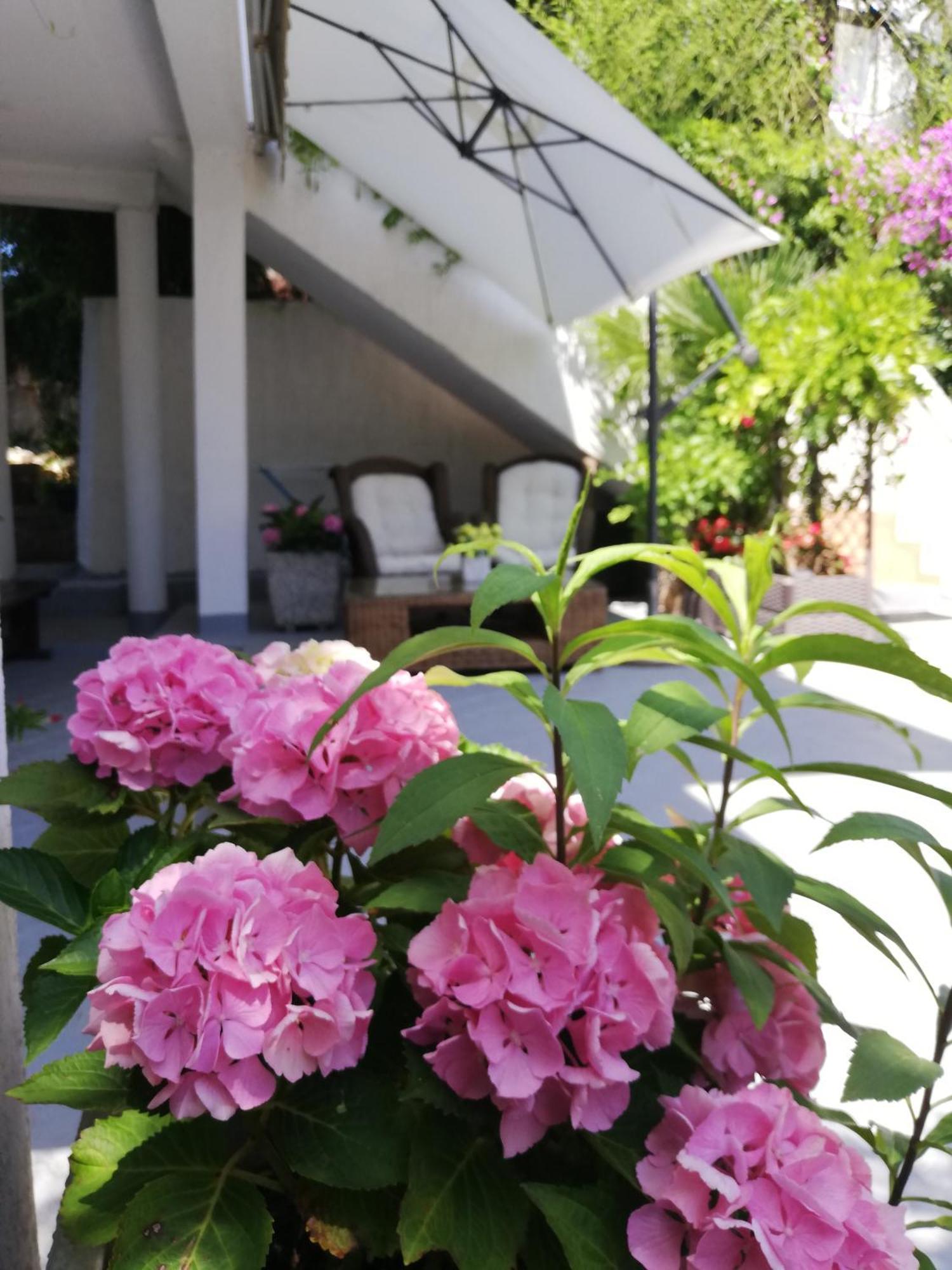 Apartments Poretti For 2,In Center Parking Free In The Yard,6 Min Beach Walk โรวีน ภายนอก รูปภาพ